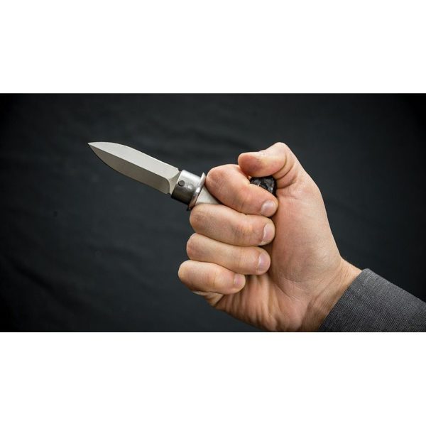 Dragon King Sword Cane Carbon Fiber Spring Steel Blade