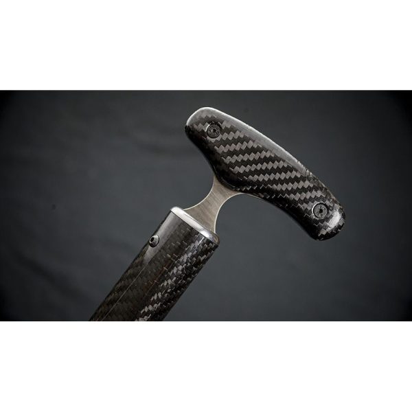 Dragon King Sword Cane Carbon Fiber Spring Steel Blade