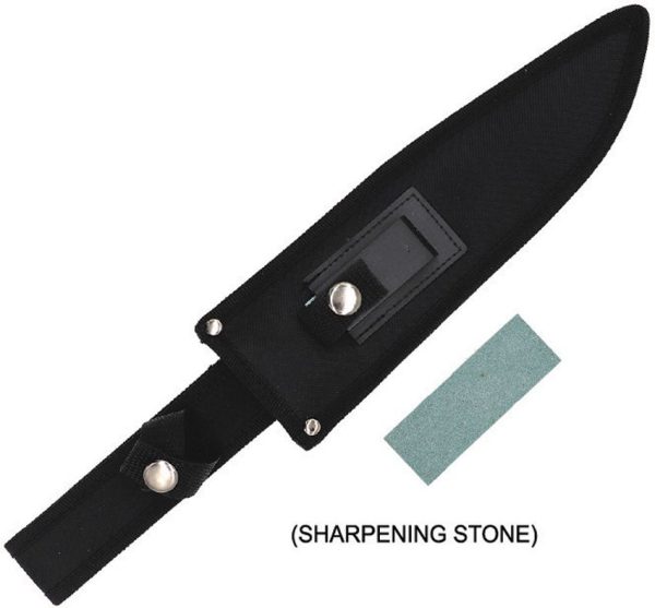 ElitEdge Survival Fixed Blade Satin Sawback Stainless