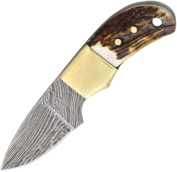 Fox-N-Hound Mini Skinner Damascus - Stag Bone Handle