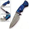 FH Knives Fixed Blade Damascus Blue 5" Blade Pakkawood Handle