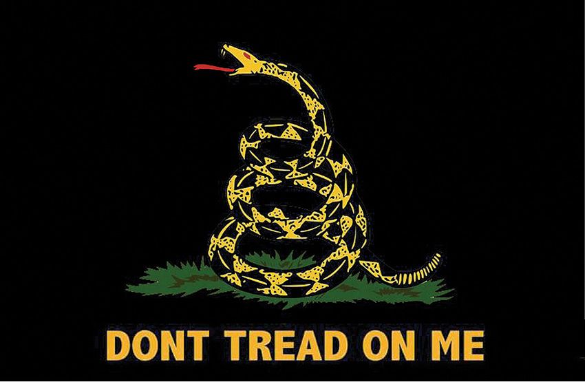 Flags Black Gadsden Flag 3 ft. x 5 ft.