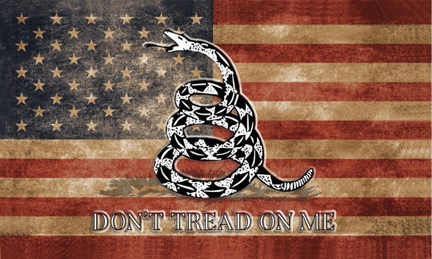 Flags USA Vintage Gadsden Flag 3' x 5' Polyester w/ Grommets