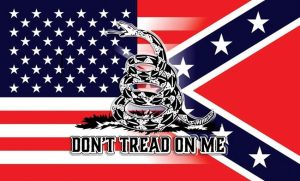 Flags USA Confederate Flag 3x5 - Don't Tread On Me