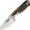 Forester Hobbit Fixed Blade Stag Handle MV-58 Stainless Steel