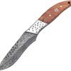 Frost Cutlery Skinner Olive Wood Fixed Blade Damascus Steel Knife
