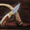 Hibben Diamondback Fixed Blade Stag Handle 7Cr17 Stainless