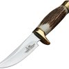 Hibben Whitetail Skinner Fixed Blade Stag Handle Stainless