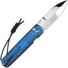 CJRB Perfect Locust Button Lock Folding Knife S90V Spear