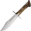 Joker Bowie Fixed Blade Knife 7.75" Vanadium Steel Stag Handle