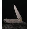KARB119_add_04.jpg Buck Horn Linerlock Gray Al