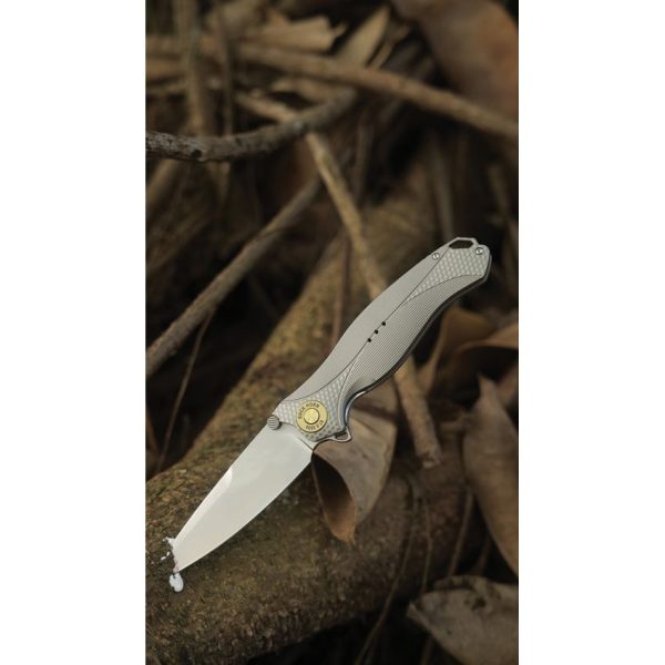 KARB119_add_05.jpg Buck Horn Linerlock Gray Al
