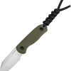 Kizer Drop Bear Fixed Blade - OD Green G10 2.63 inch