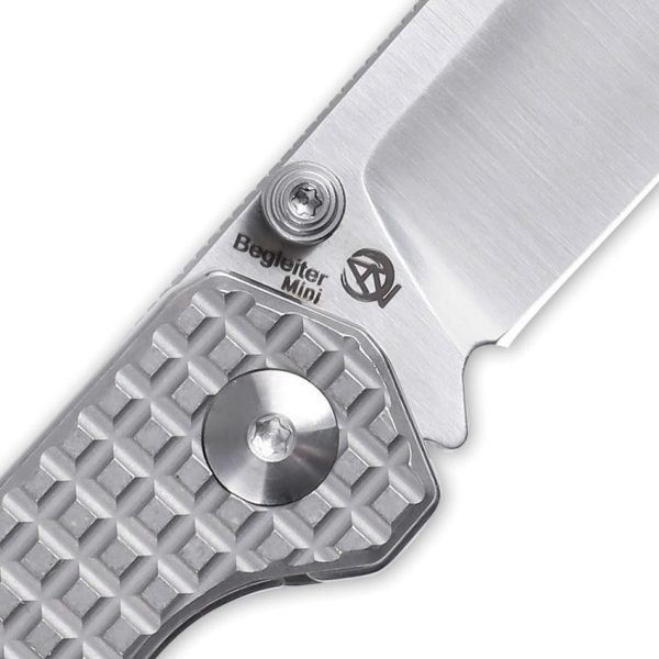 Kizer Begleiter Mini Linerlock Titanium