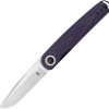 Kizer Cutlery Squidward Linerlock Purple G10
