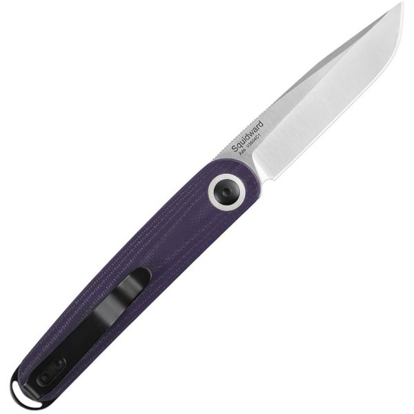 Kizer Cutlery Squidward Linerlock Purple G10