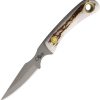 KOA00007FG.jpg Knives of Alaska Cub Bear Stag - D2 Fixed Blade