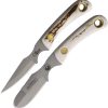 Knives of Alaska Muskrat/Cub Combo D2 Stag Bone Fixed Blade
