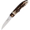 KOT422521_add_01.jpg Folder Stag D2