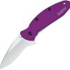 Kershaw Scallion Linerlock Purple Assisted Folding Knife