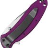 Kershaw Scallion Linerlock Purple Assisted Folding Knife