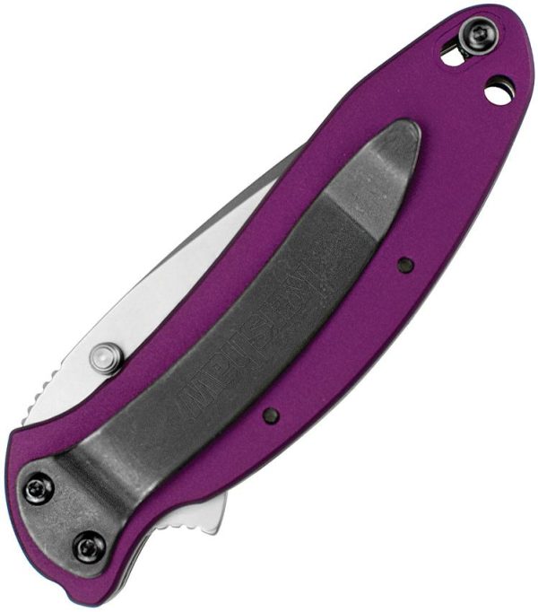 Kershaw Scallion Linerlock Purple Assisted Folding Knife