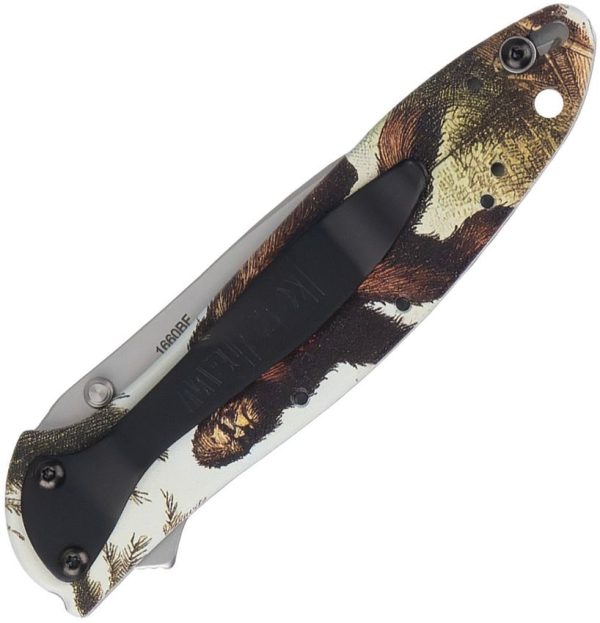 Kershaw Leek Linerlock Assisted Opening Folding Knife Sandvik Steel