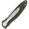 KS1660OL_add_01.jpg Kershaw Leek Linerlock Assisted Opening Folding Knife Olive