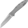 Kershaw Leek Framelock Assisted Opening Folding Knife 14C28N