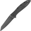 Kershaw Leek Framelock Assisted Opening Folding Knife 14C28N