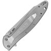 Kershaw Leek Framelock Assisted Opening Folding Knife 14C28N