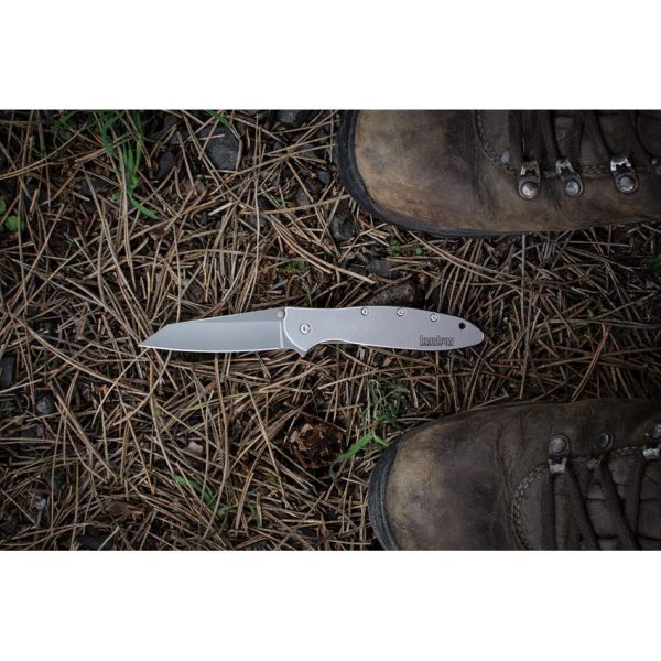 Kershaw Leek Framelock Assisted Opening Folding Knife 14C28N