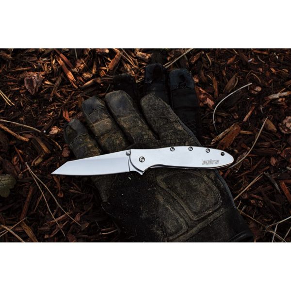 Kershaw Leek Framelock Assisted Opening Folding Knife 14C28N