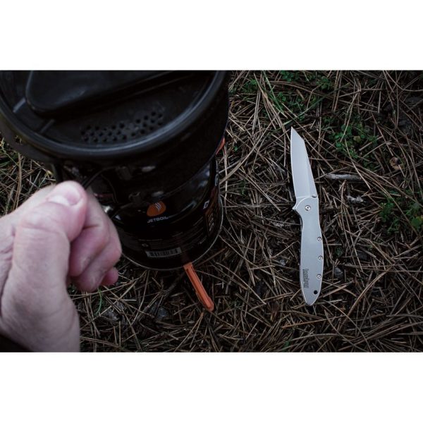 Kershaw Leek Framelock Assisted Opening Folding Knife 14C28N