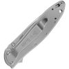 Kershaw Leek Framelock Assisted Opening Folding Knife Serrated
