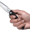 Raven Linerlock Black