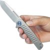 Steelhead Linerlock Gray Ti