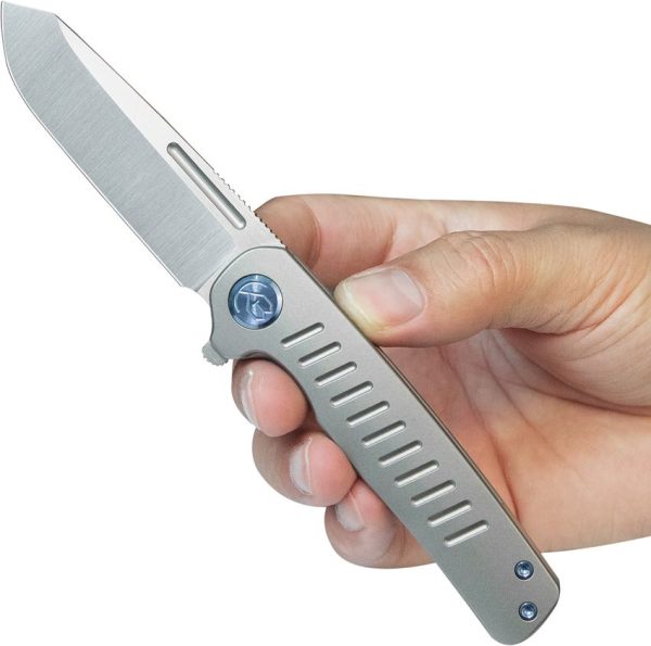 Steelhead Linerlock Gray Ti