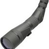 Leupold SX-4 Pro Guide Spot Scope 20-60x - Shadow Gray