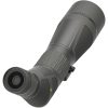 Leupold SX-4 Pro Guide Spot Scope 20-60x - Shadow Gray