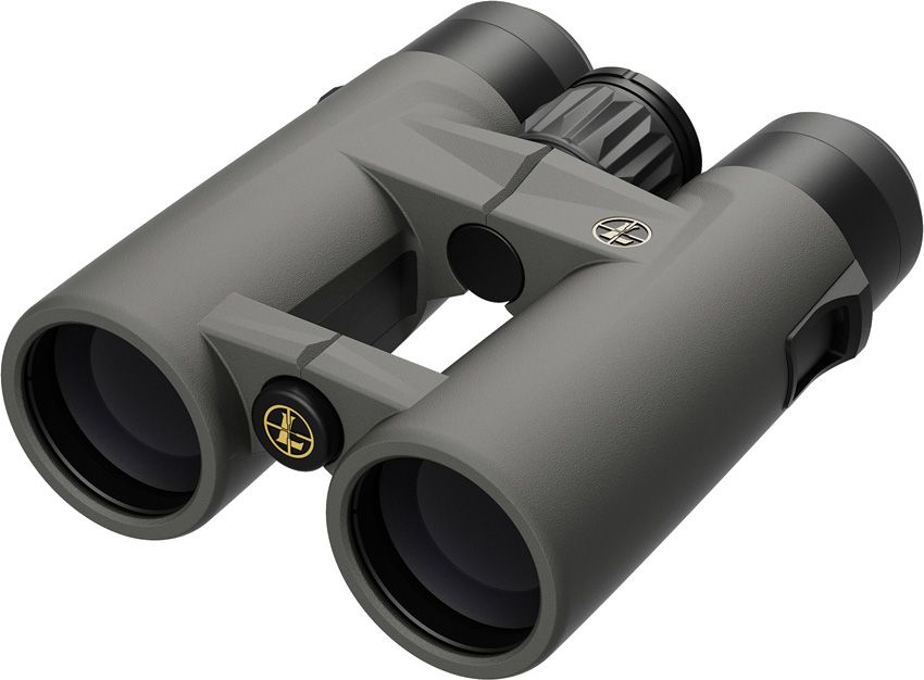 Leupold BX-4 Pro Guide HD 8x42 Binoculars with Carry Case