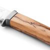 LSTAG1UL_add_04.jpg LionSTEEL AGO Fixed Blade M390 Olive Wood Italy Knife