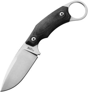 LionSTEEL H2 Fixed Blade Drop Point M390 Black G10 Knife