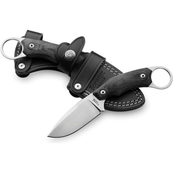 LionSTEEL H2 Fixed Blade Drop Point M390 Black G10 Knife