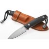 LionSTEEL M1 Fixed Blade Black G10 M390 Stainless Steel Knife