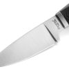 LionSTEEL Willy Fixed Blade Black G10 M390 Knife