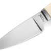 LionSTEEL Willy Fixed Blade Ivory M390 Stainless Knife