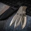 Perfect Point Throwing Knife Set - Satin Stainless One-Piece