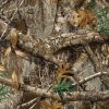 Gear Aid Camo Form Wrap Realtree Edge Self-Cling