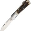 Mercury Hunting Lockback Stag Folding Knife 3" Z50CD15 Blade